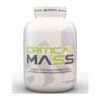 Bigmuscles Nutrition Critical Mass 6 Lbs (Cookie & Cream)