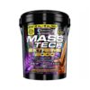Mass Tech Extreme 2000 Chocolate Flavour 22 Lbs