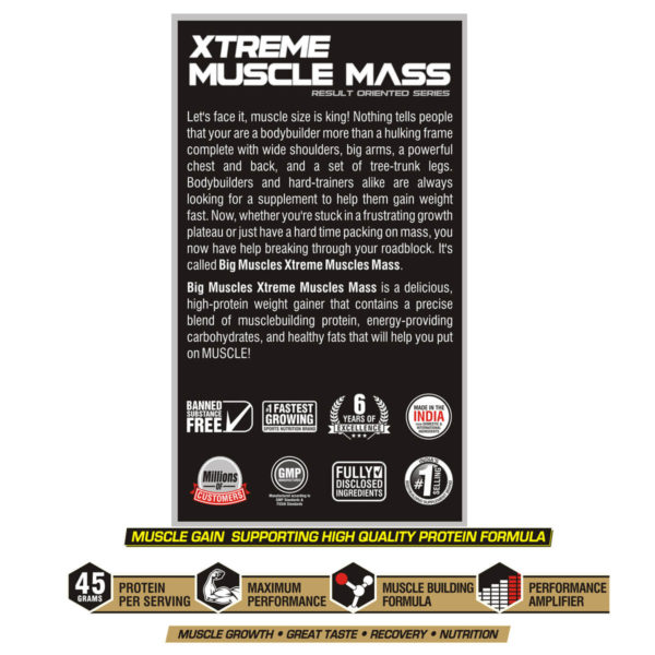 Bigmuscles Nutrition Xtreme Muscle Mass 6 Lbs (Chocolate Malt)