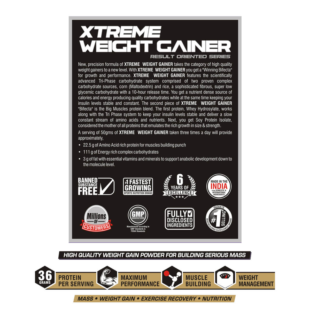 Bigmuscles Nutrition Xtreme Weight Gainer 6 Lbs (Chocolate Malt)