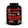 Spartan Nutrition Mega Mass Pro Series 5Lbs (Chocolate Ice Cream)