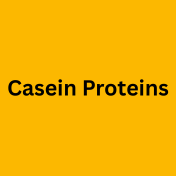 Casein Proteins