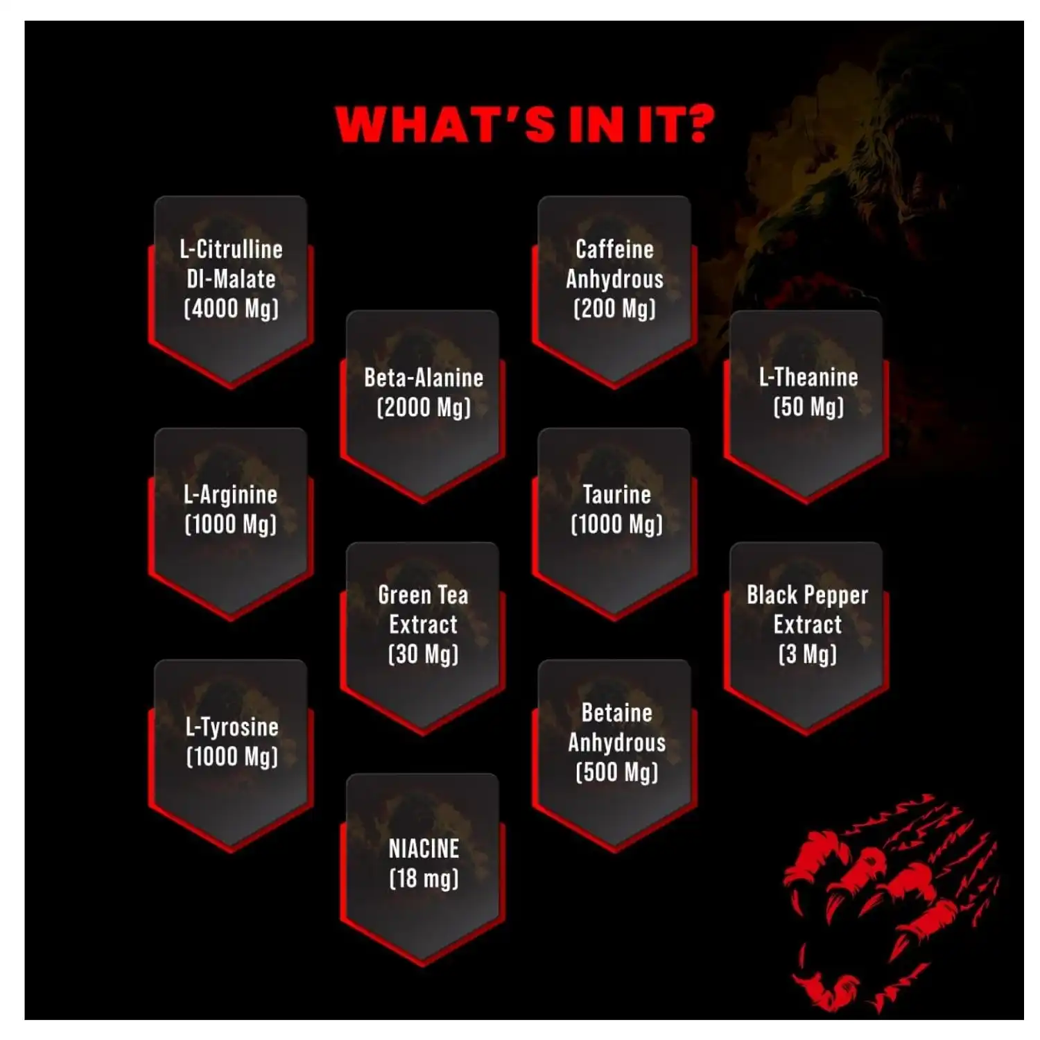 Bigmuscles Nutrition Karnage Pre workout 300g 60 Servings (Watermelon Lime) No Crash No Proprietary Blend No After Taste No Jitters Zero Sugar and Fat